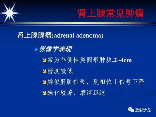 影像PPT - 【PPT】肾上腺影像学诊断-23