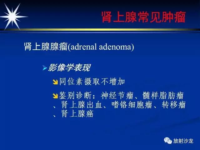 影像PPT - 【PPT】肾上腺影像学诊断-24