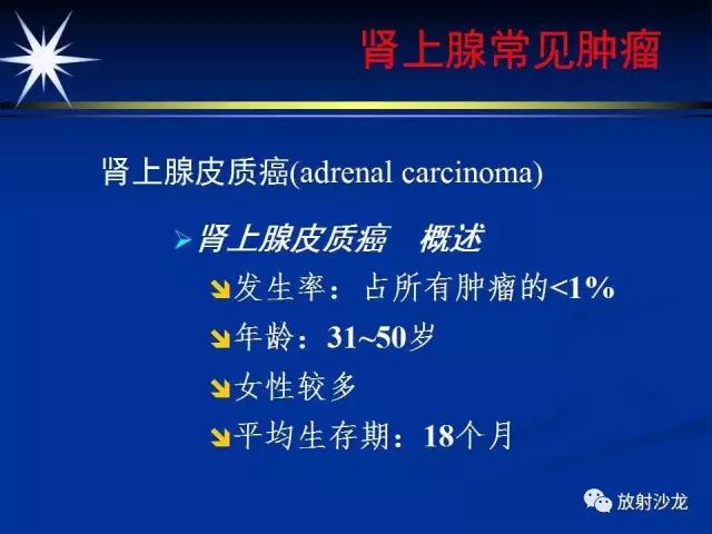 影像PPT - 【PPT】肾上腺影像学诊断-33