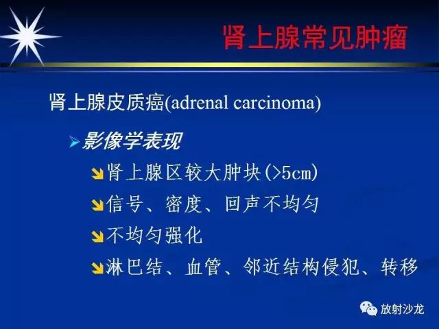 影像PPT - 【PPT】肾上腺影像学诊断-34