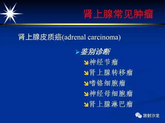 影像PPT - 【PPT】肾上腺影像学诊断-37