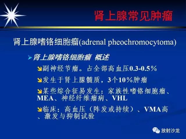 影像PPT - 【PPT】肾上腺影像学诊断-39