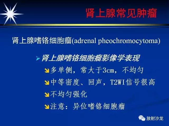 影像PPT - 【PPT】肾上腺影像学诊断-40