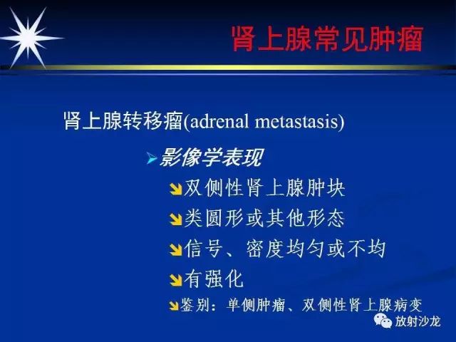 影像PPT - 【PPT】肾上腺影像学诊断-46