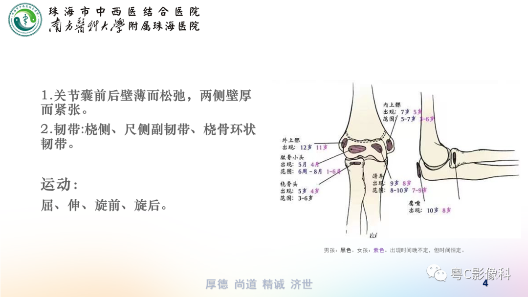 影像PPT - 【PPT】儿童肘关节正侧位x线摄影-4