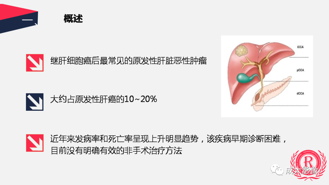 影像PPT - 【PPT】胆管细胞癌影像与临床-3