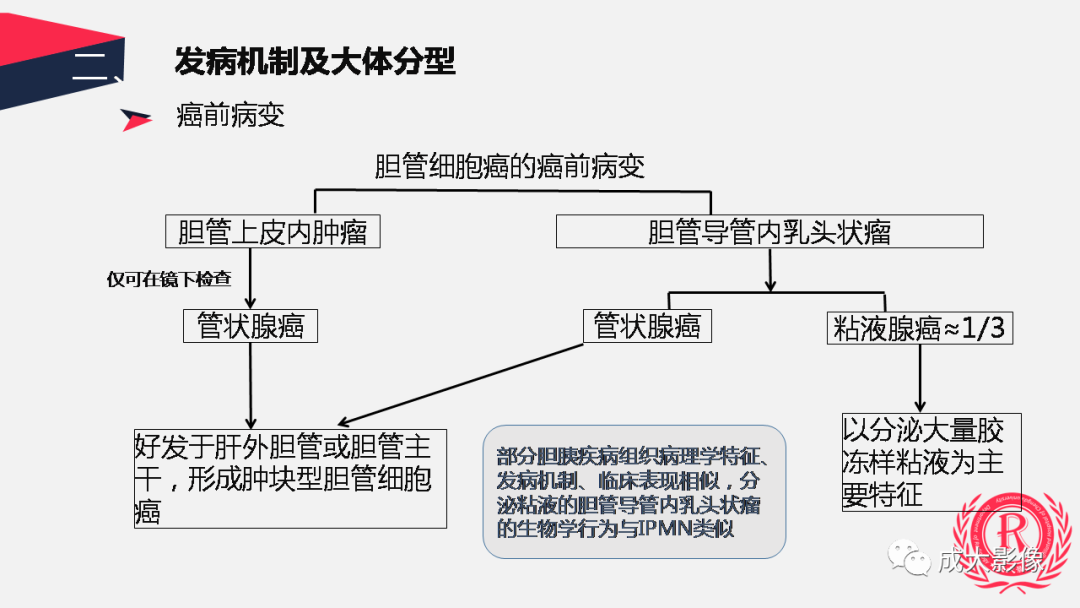 影像PPT - 【PPT】胆管细胞癌影像与临床-6