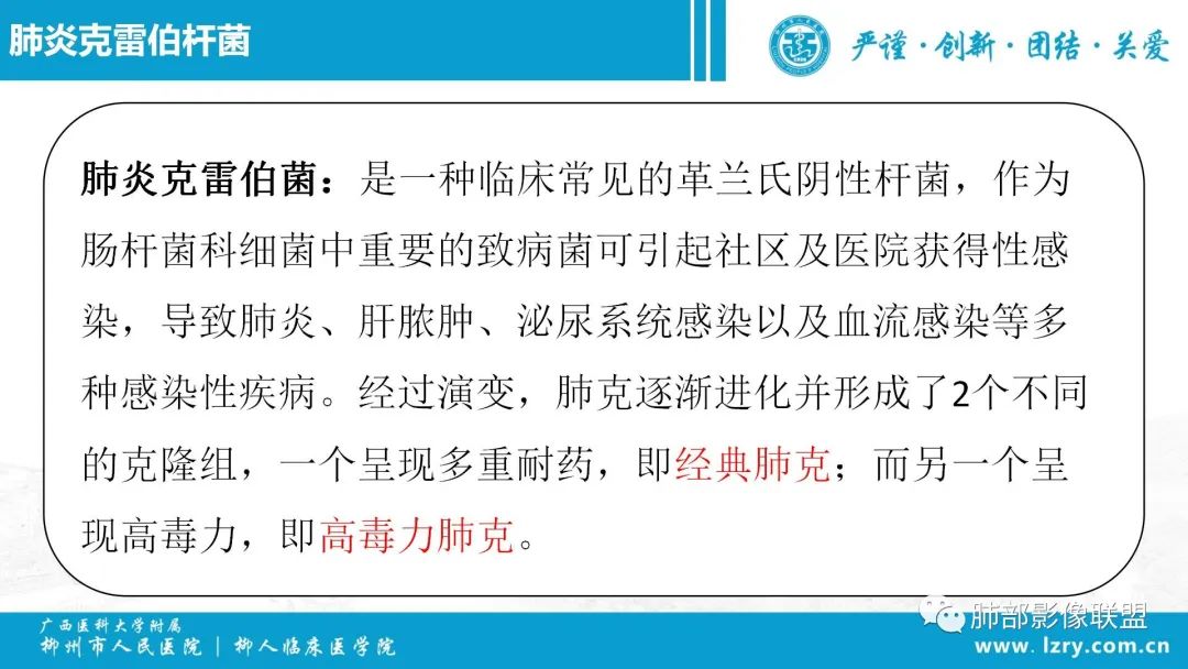 影像PPT - 【PPT】 高毒力肺炎克雷伯杆菌感染的特点-31 影像PPT - 【PPT】 高毒力肺炎克雷伯杆菌感染的特点-31