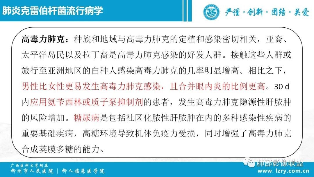 影像PPT - 【PPT】 高毒力肺炎克雷伯杆菌感染的特点-33 影像PPT - 【PPT】 高毒力肺炎克雷伯杆菌感染的特点-33