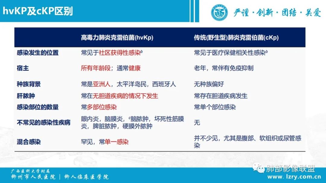 影像PPT - 【PPT】 高毒力肺炎克雷伯杆菌感染的特点-34 影像PPT - 【PPT】 高毒力肺炎克雷伯杆菌感染的特点-34