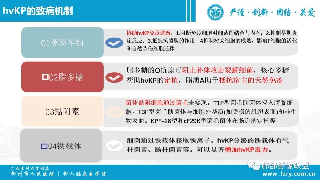影像PPT - 【PPT】 高毒力肺炎克雷伯杆菌感染的特点-35 影像PPT - 【PPT】 高毒力肺炎克雷伯杆菌感染的特点-35