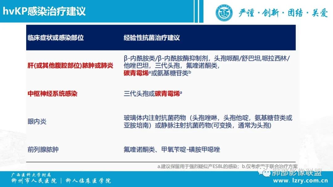 影像PPT - 【PPT】 高毒力肺炎克雷伯杆菌感染的特点-37 影像PPT - 【PPT】 高毒力肺炎克雷伯杆菌感染的特点-37