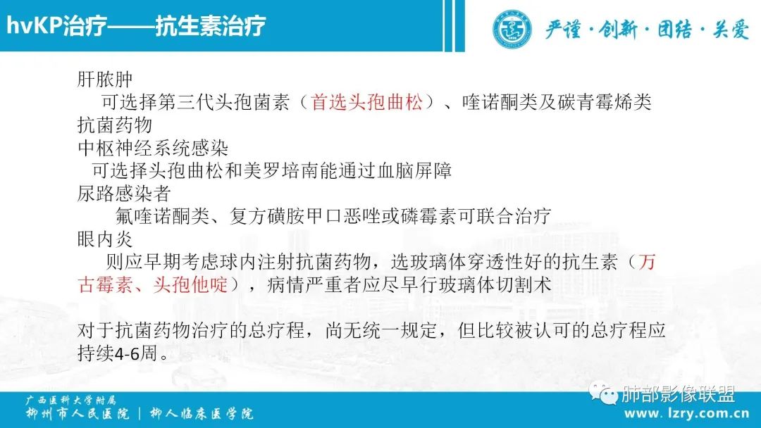 影像PPT - 【PPT】 高毒力肺炎克雷伯杆菌感染的特点-40 影像PPT - 【PPT】 高毒力肺炎克雷伯杆菌感染的特点-40