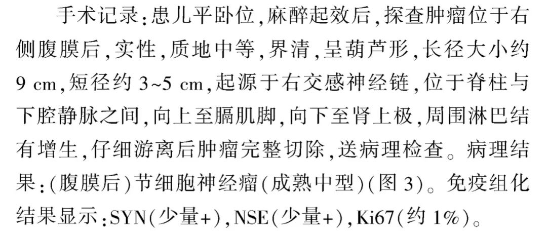 影像PPT - 【病例】原发性腹膜后肿物—节细胞神经瘤1例影像诊断思维-5