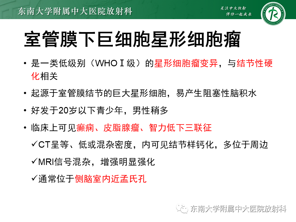 影像PPT - 【PPT】脉络丛乳头状瘤-34 影像PPT - 【PPT】脉络丛乳头状瘤-34