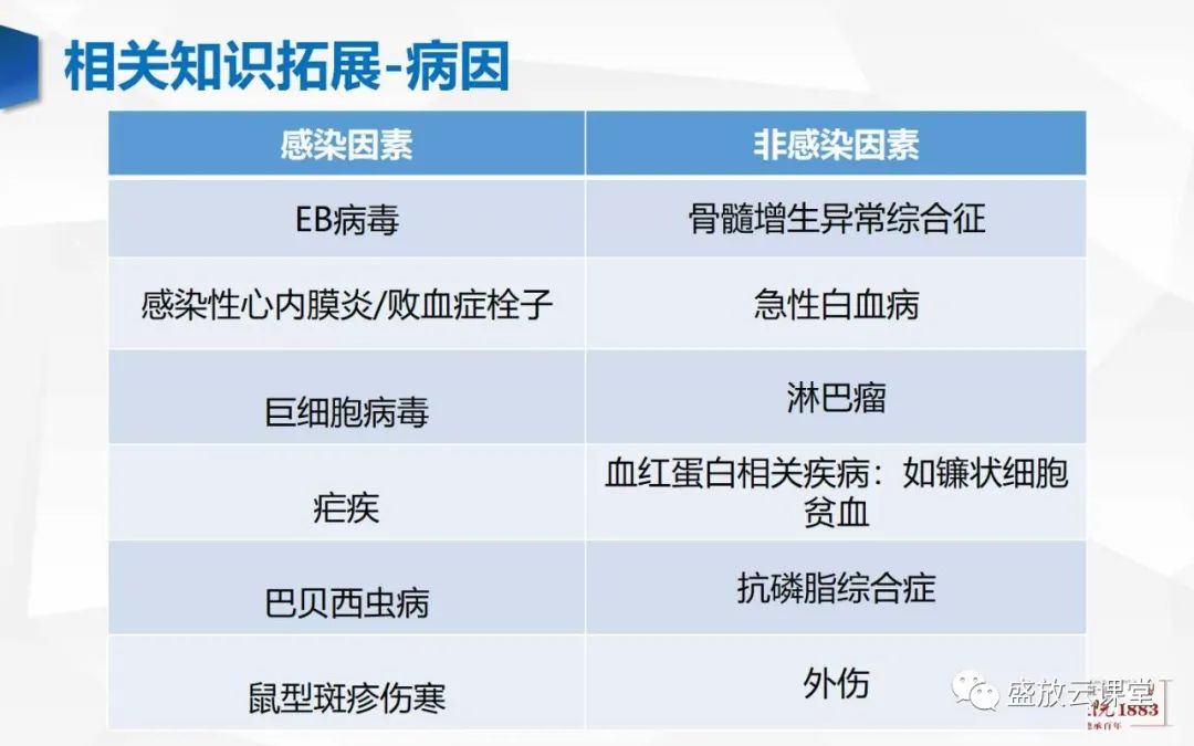 影像PPT - 【病例】脾脏淋巴瘤1例CT影像鉴别诊断-22 影像PPT - 【病例】脾脏淋巴瘤1例CT影像鉴别诊断-22