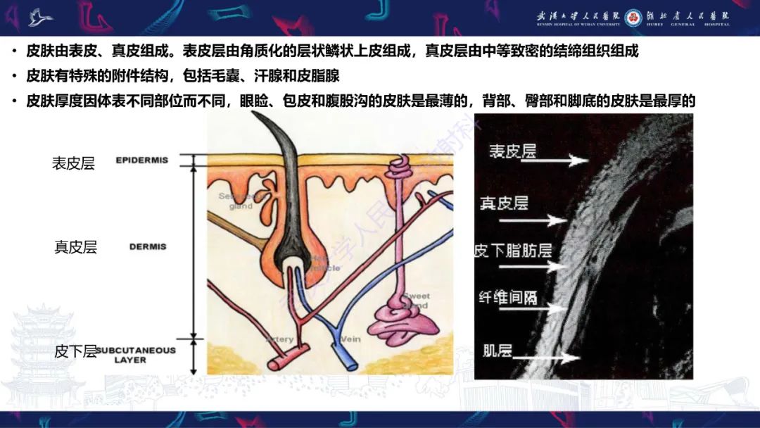 影像PPT - 【PPT】皮肤肿瘤影像诊断-5