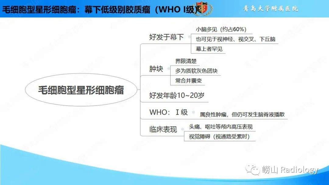 影像PPT - 【PPT】颅内肿瘤性病变-19