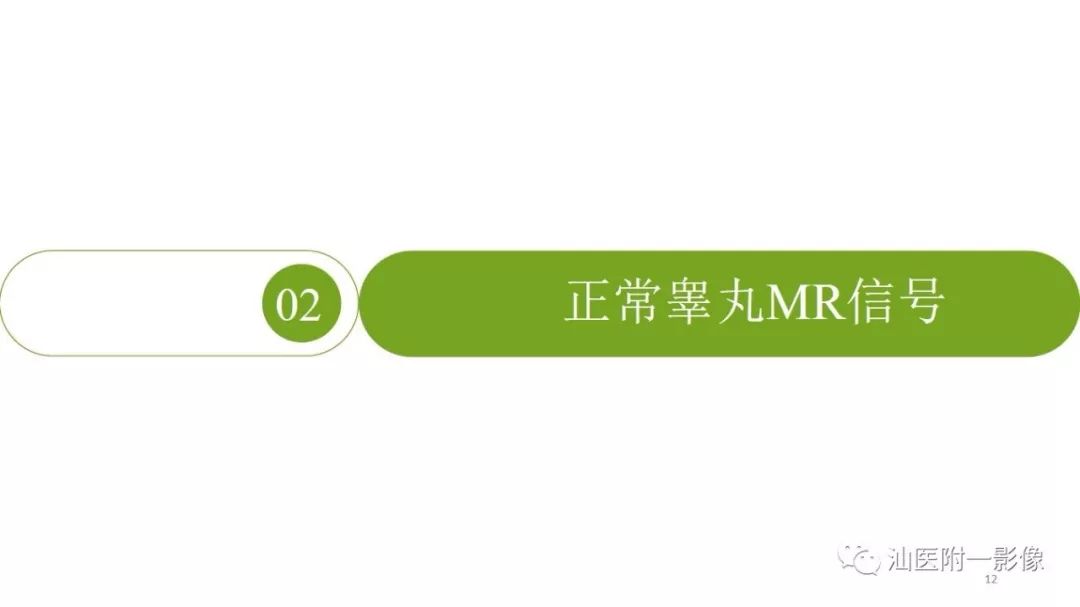 影像PPT - 【PPT】睾丸病变知多少-12