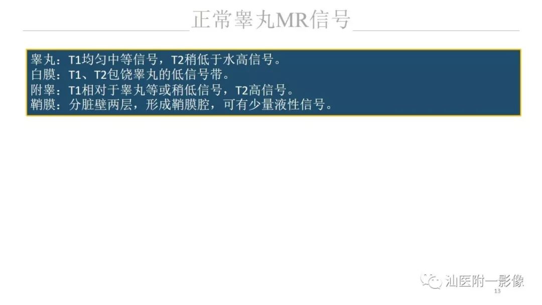 影像PPT - 【PPT】睾丸病变知多少-13