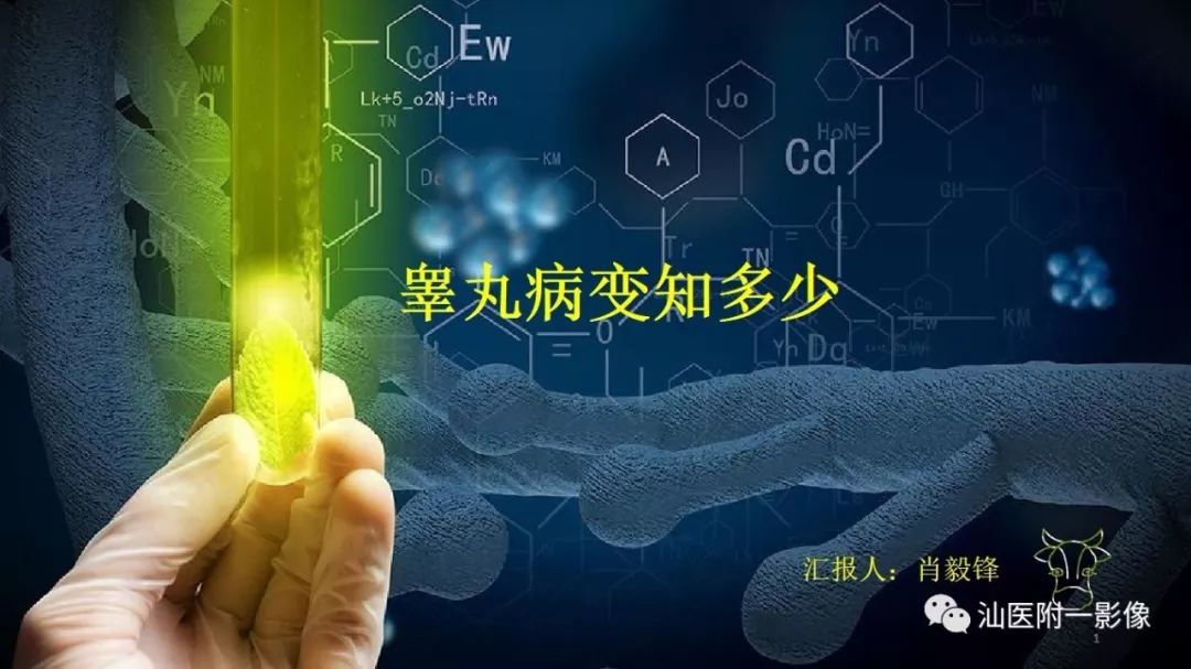影像PPT - 【PPT】睾丸病变知多少-1