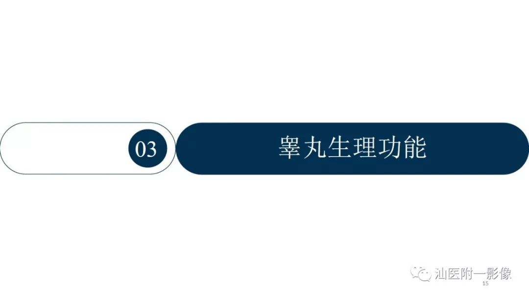 影像PPT - 【PPT】睾丸病变知多少-15
