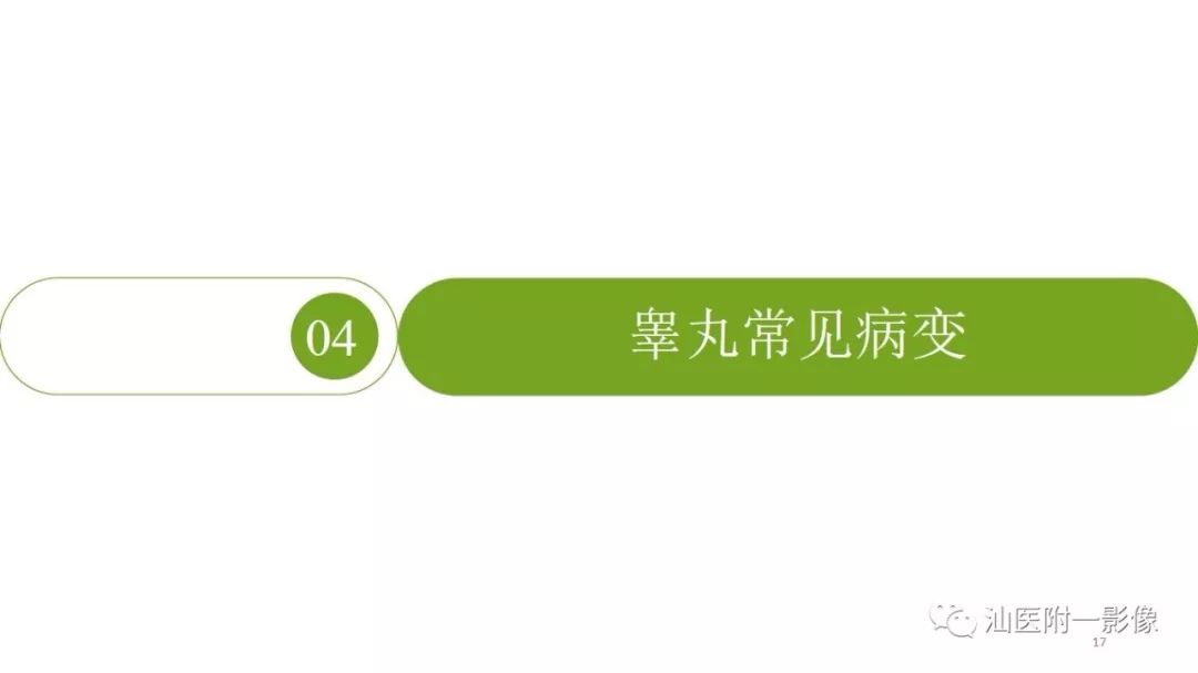 影像PPT - 【PPT】睾丸病变知多少-17