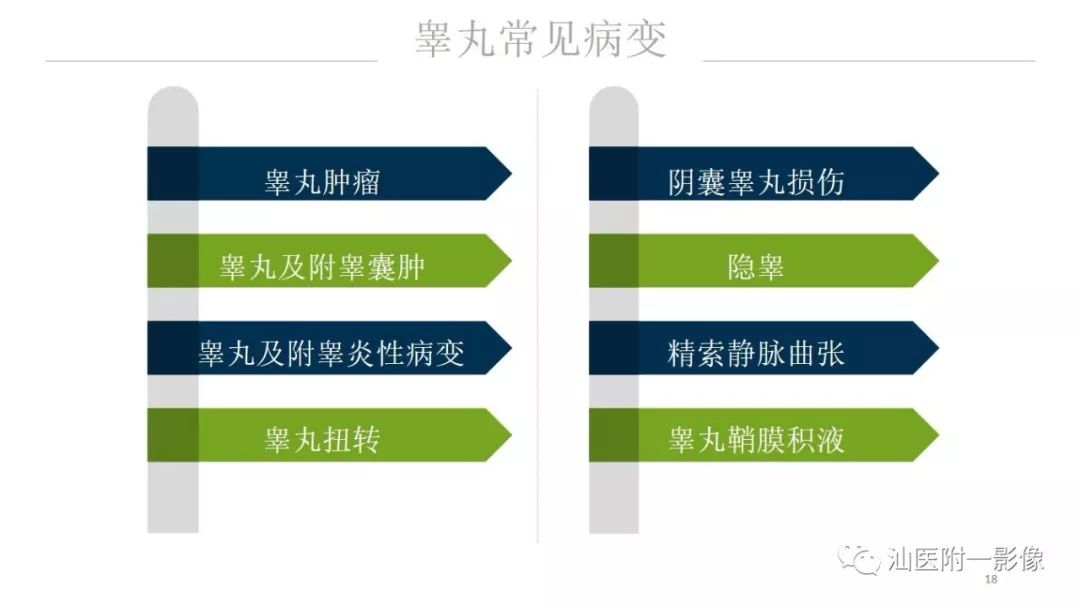 影像PPT - 【PPT】睾丸病变知多少-18