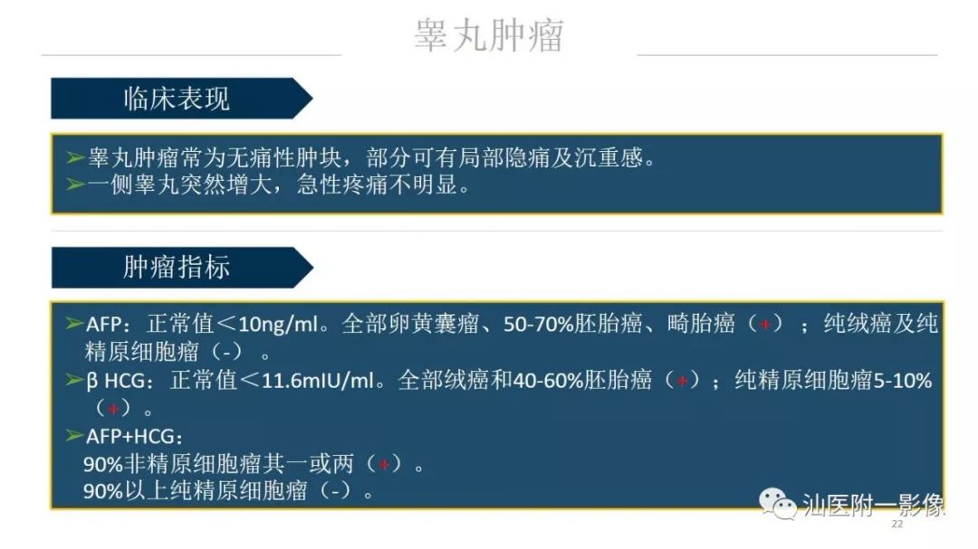 影像PPT - 【PPT】睾丸病变知多少-22