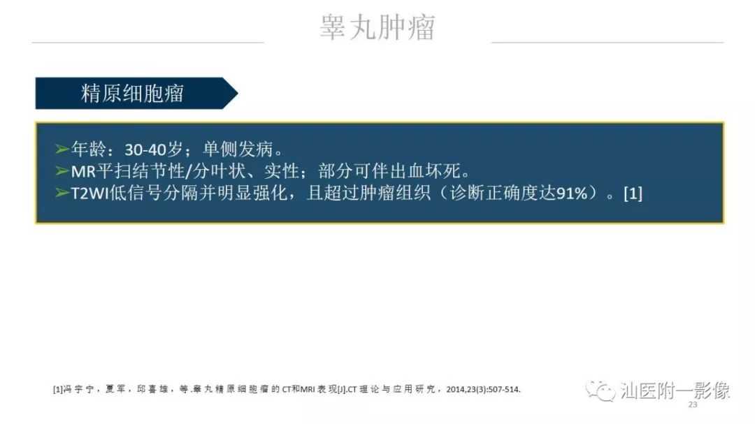 影像PPT - 【PPT】睾丸病变知多少-23