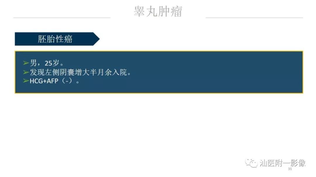 影像PPT - 【PPT】睾丸病变知多少-31
