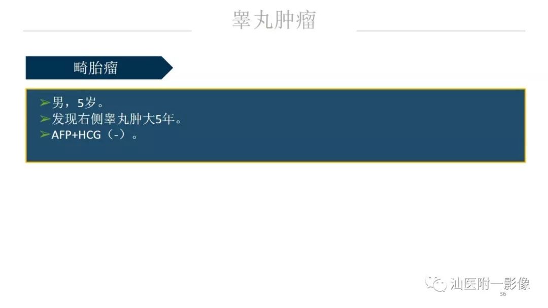 影像PPT - 【PPT】睾丸病变知多少-36
