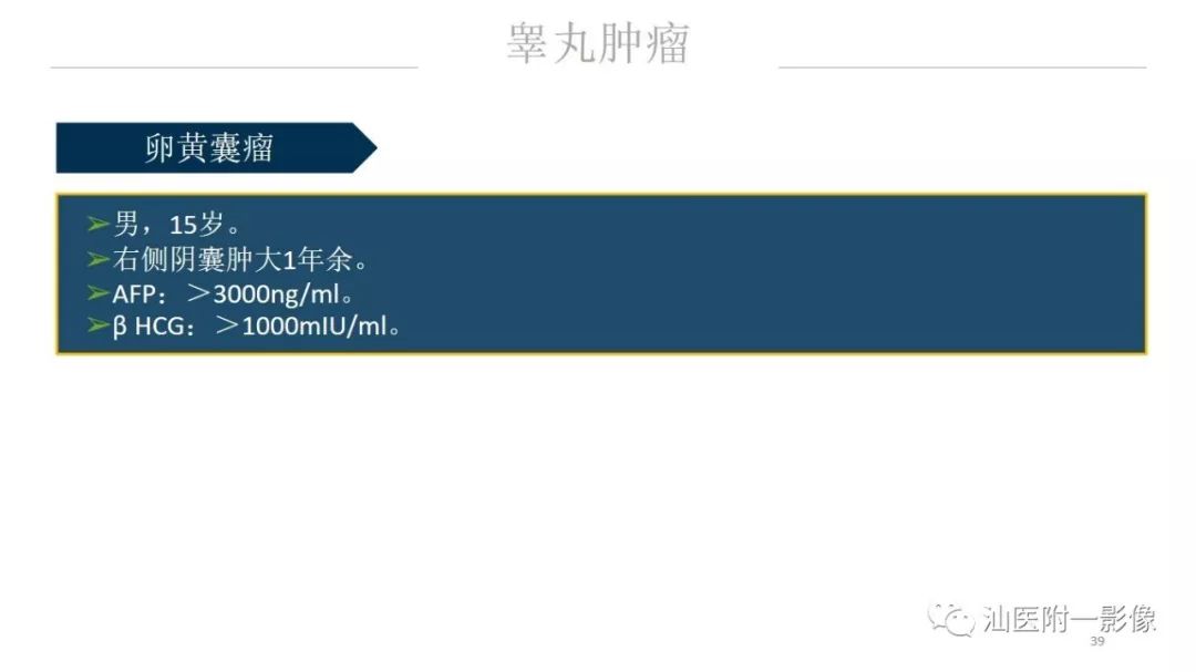 影像PPT - 【PPT】睾丸病变知多少-39