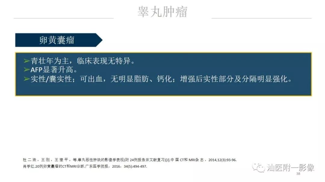 影像PPT - 【PPT】睾丸病变知多少-38