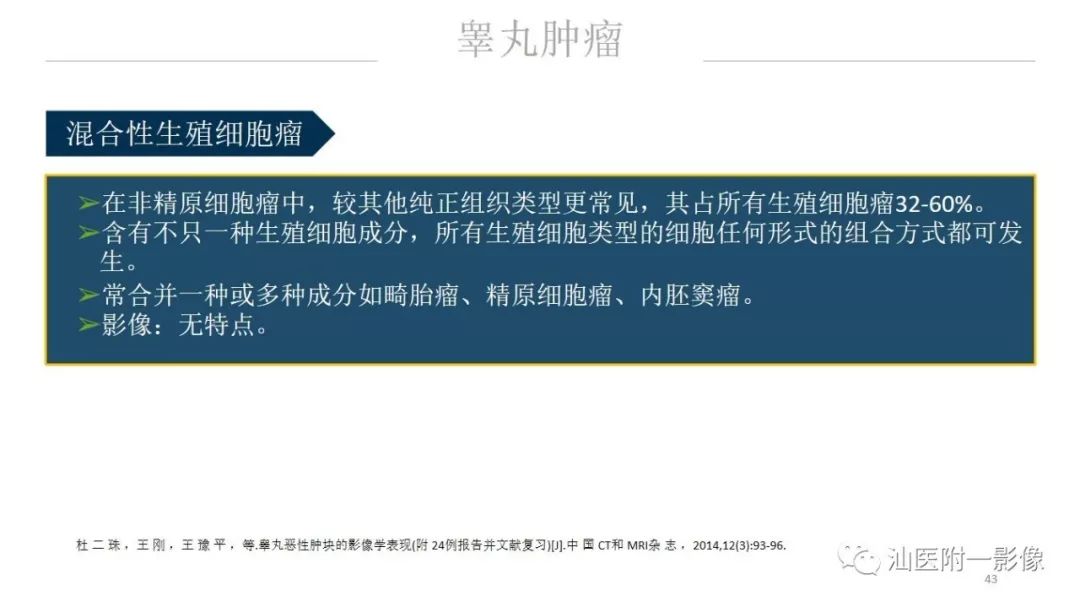 影像PPT - 【PPT】睾丸病变知多少-43