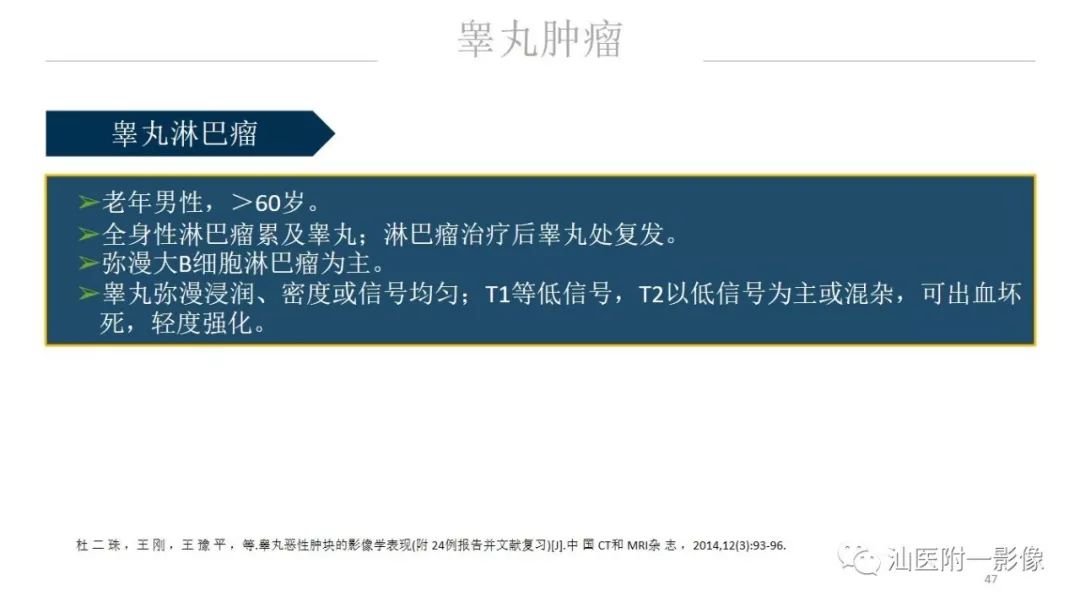 影像PPT - 【PPT】睾丸病变知多少-47