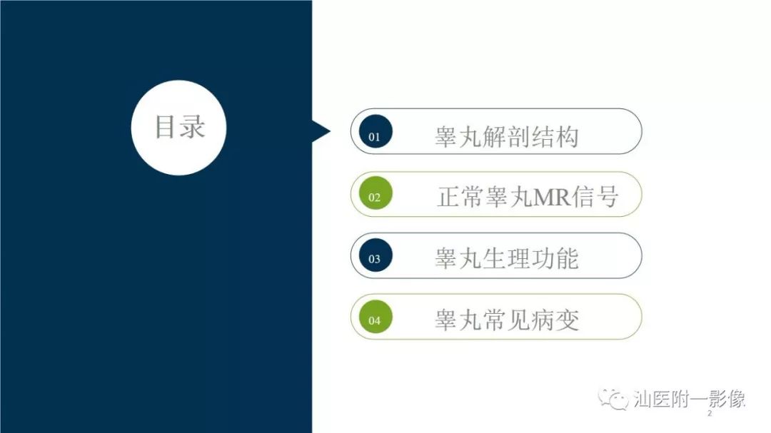 影像PPT - 【PPT】睾丸病变知多少-1