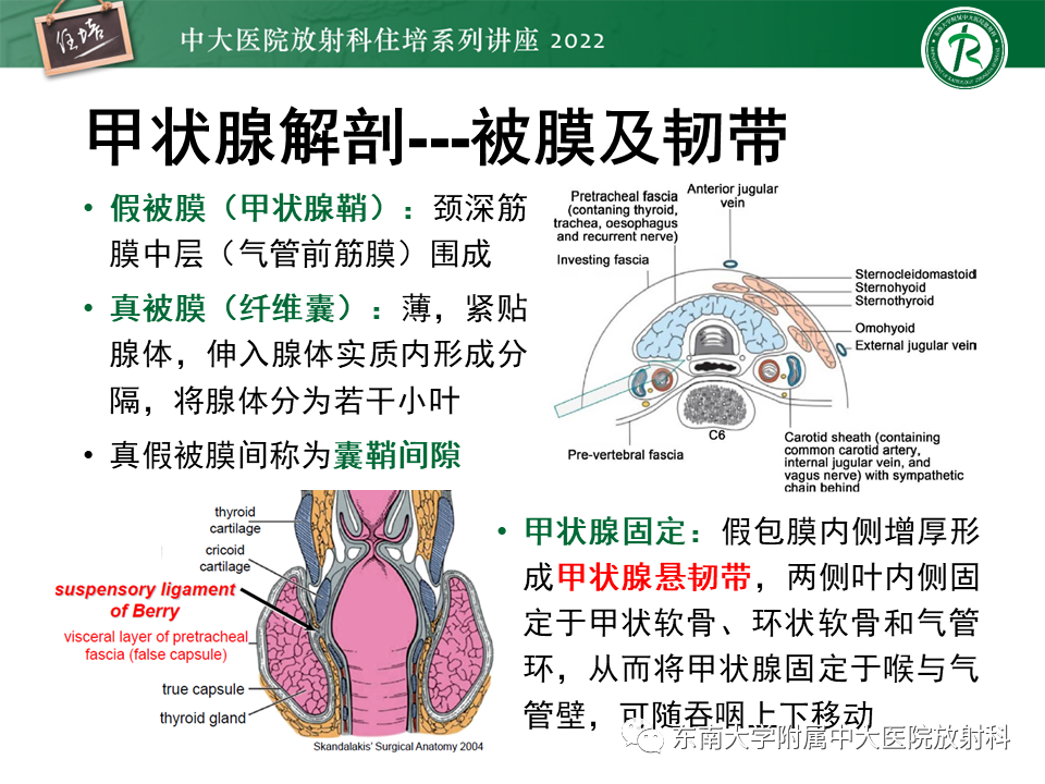 影像PPT - 【PPT】甲状腺肿瘤及肿瘤样病变影像诊断与评估-7