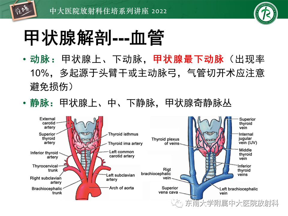 影像PPT - 【PPT】甲状腺肿瘤及肿瘤样病变影像诊断与评估-8
