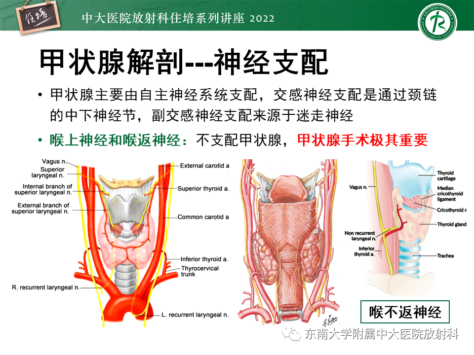 影像PPT - 【PPT】甲状腺肿瘤及肿瘤样病变影像诊断与评估-9