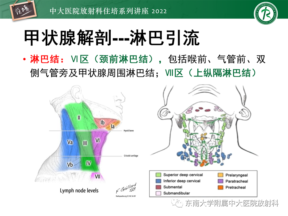 影像PPT - 【PPT】甲状腺肿瘤及肿瘤样病变影像诊断与评估-10