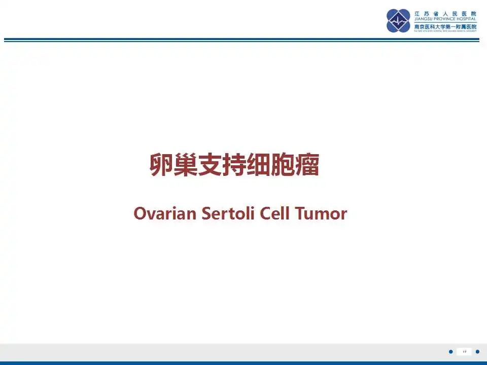 影像PPT - 【PPT】卵巢支持细胞瘤-18