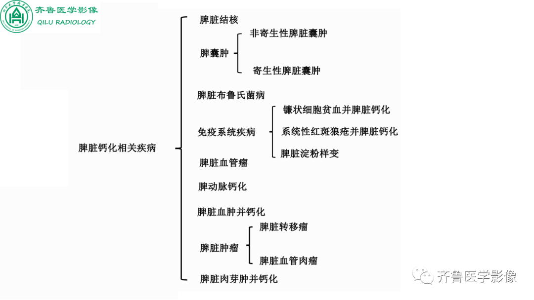 影像PPT - 【PPT】脾脏钙化相关性疾病-11