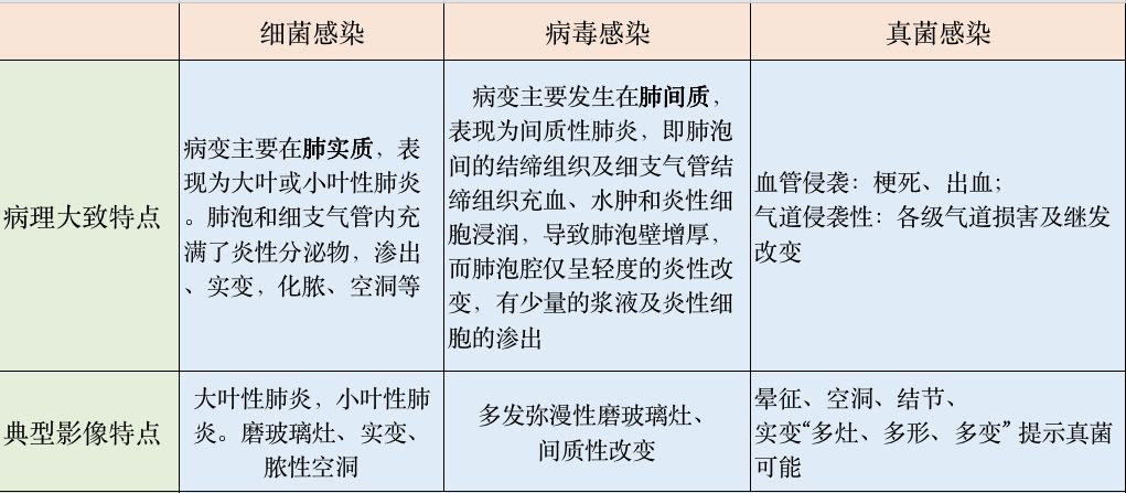 影像PPT - 肺真菌感染与细菌感染、病毒感染的鉴别-2 影像PPT - 肺真菌感染与细菌感染、病毒感染的鉴别-2