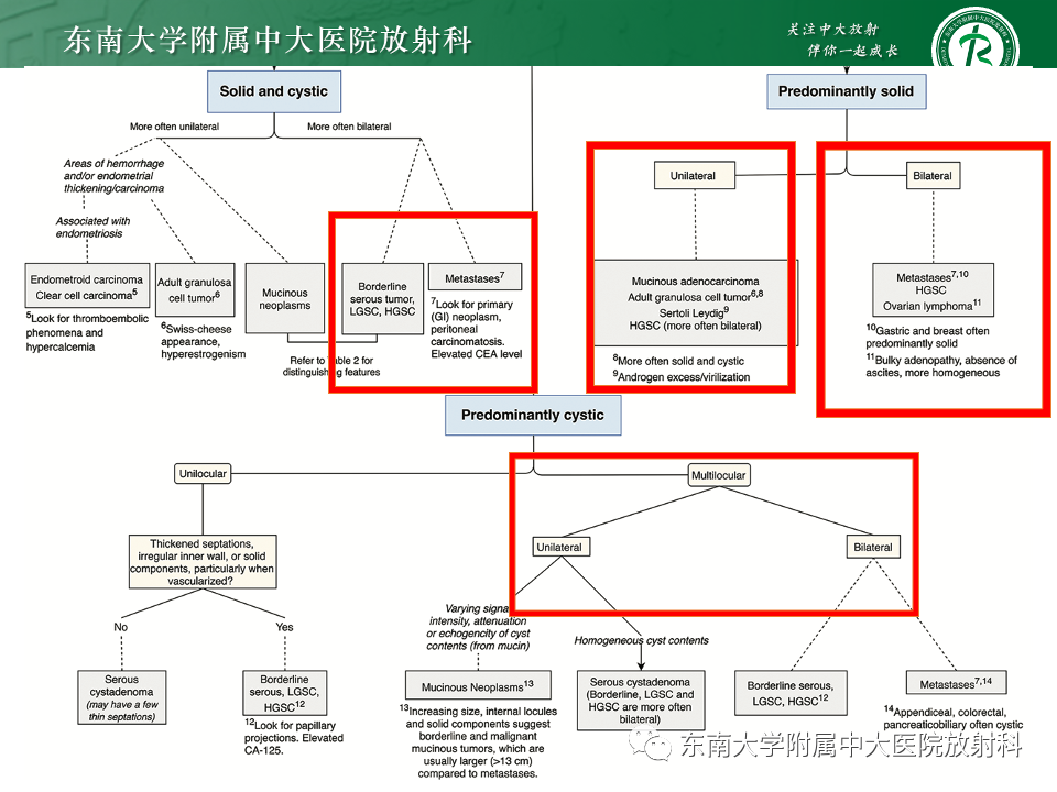 影像PPT - 【PPT】附件区弥散受限占位随访-35