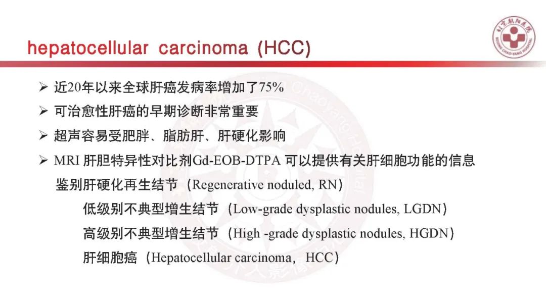 影像PPT - 【PPT】HCC诊断及鉴别诊断-21