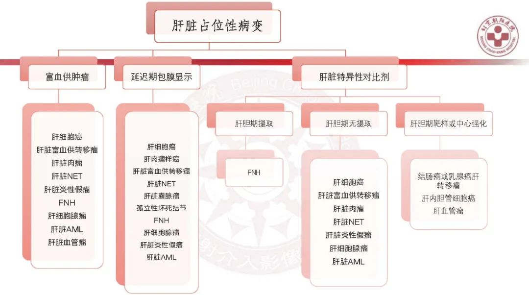 影像PPT - 【PPT】HCC诊断及鉴别诊断-36
