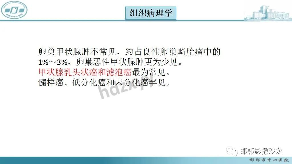 影像PPT - 【PPT】卵巢甲状腺肿-13 影像PPT - 【PPT】卵巢甲状腺肿-13