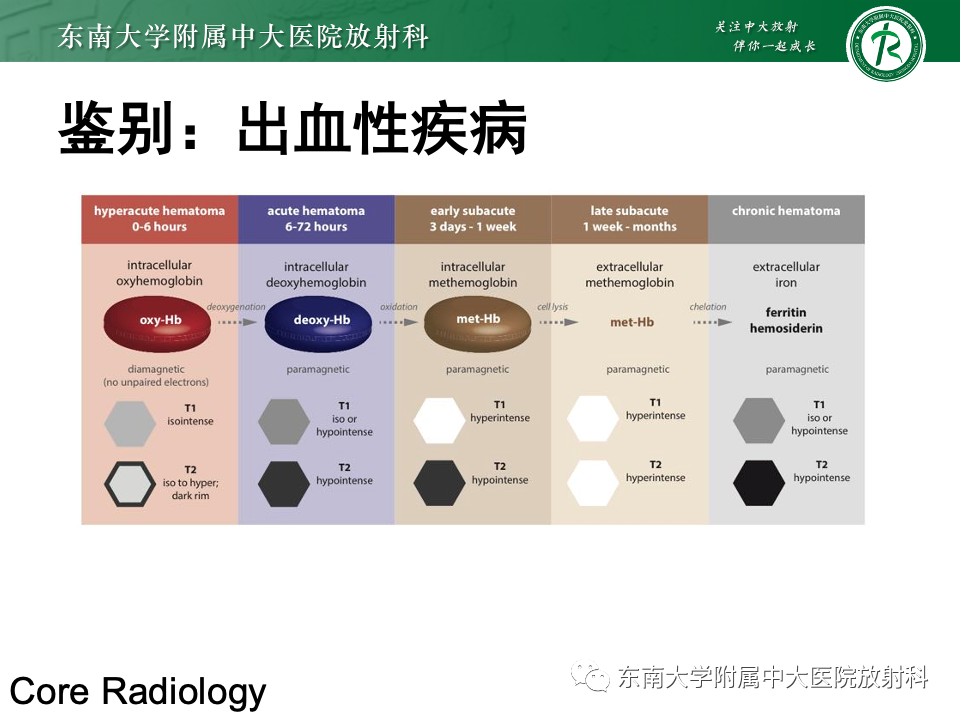 影像PPT - 【PPT】脑皮质层状坏死-17