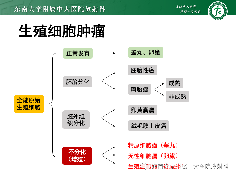 影像PPT - 【PPT】纵隔生殖细胞肿瘤-11 影像PPT - 【PPT】纵隔生殖细胞肿瘤-11